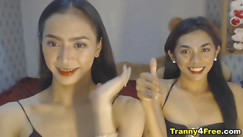 Busty shemale gets fucked on the ass and pussy by her boyfriend